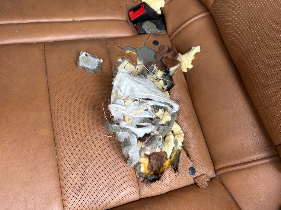 2019 Cadillac XT4 FWD Repairable Wrecks 